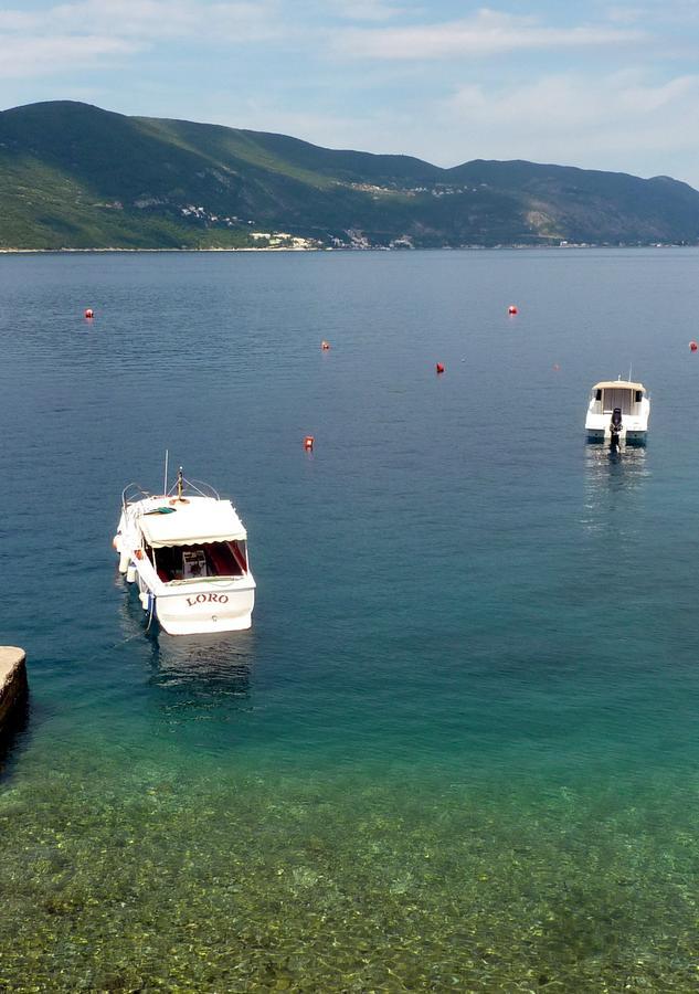 Rose - Apartmani Janovic Luštica Exteriör bild